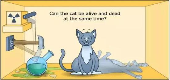 图15 ：如何把一只可爱的猫，变成一只薛定谔猫