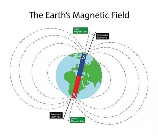 地球上的生物暴露在始终存在着的地球磁场中，这些磁场在星球表面不同地方密度和方向各不相同。