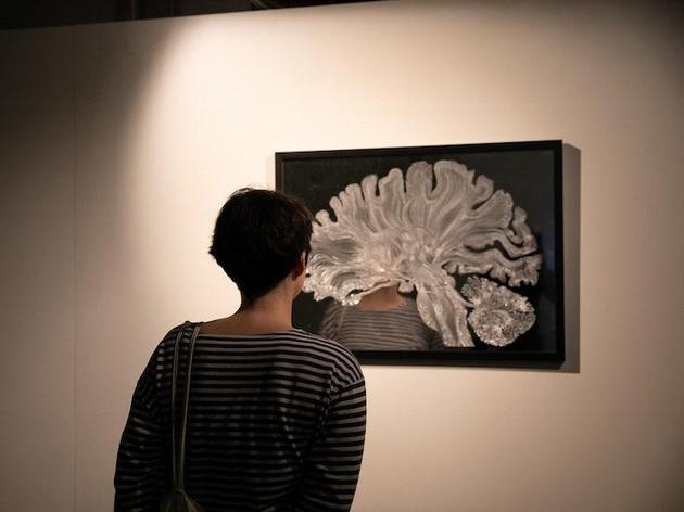 　　哲学僵尸应该有能力提出有关体验属性的任何问题。不过，值得深思的是，一个缺乏体验的人或机器如何能回顾其没有过的体验。