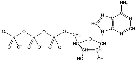 ATP（图片来源：wiki）