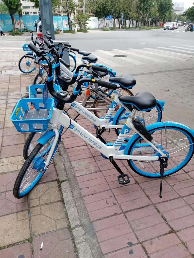 深圳街头的哈啰单车　吴家明/摄